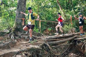 BIB: 
                            <button type="button" onclick="openModal(27556287)" class="btn btn-primary btn-sm float-right btn-popup" data-toggle="modal" data-target=".modal-high-quality">
                        <i class="fas fa-shopping-cart"></i> Add to Cart
                    </button>
                                            <button type="button" onclick="isThisMe(27556287, true)" class="btn btn-success btn-sm float-right btn-popup btn-isme hidden" data-toggle="tooltip" data-placement="bottom" title="นี่คือรูปของคุณใช่ไหม คลิกที่นี่เพื่อเอาเข้าอัลบั้ม">
                        <i class="fas fa-plus"></i> Add to album
                    </button>
                    <button type="button" onclick="isThisMe(27556287, false)" class="btn btn-warning btn-sm float-right btn-popup btn-isnotme hidden">
                        <i class="fas fa-ban"></i> Remove from album
                    </button>